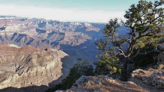 08-014- Le Grand Canyon